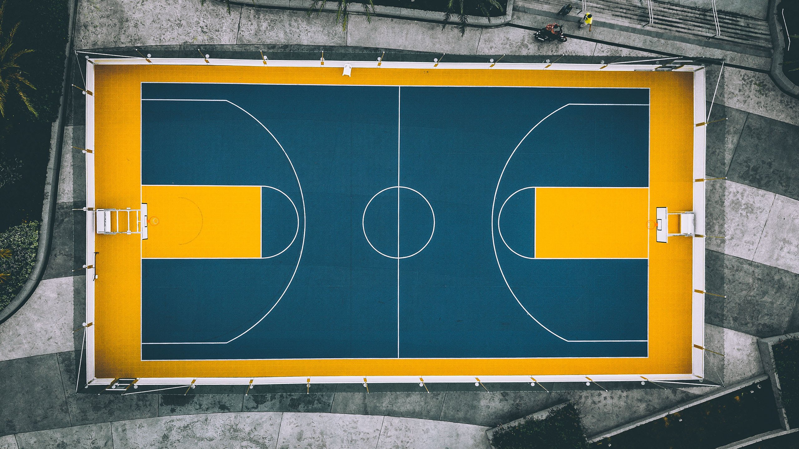 独家：浓眉哥高分数据敲定的简单介绍|PG模拟器